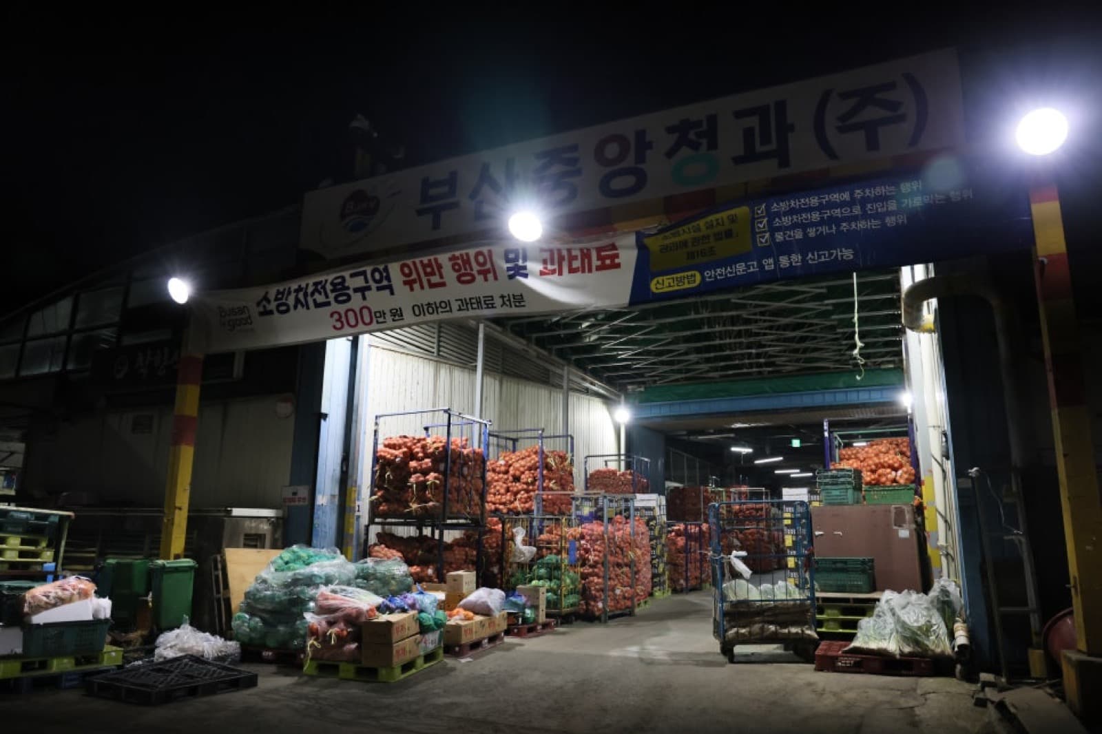 새벽 반여농수산물 시장 청과동 입구